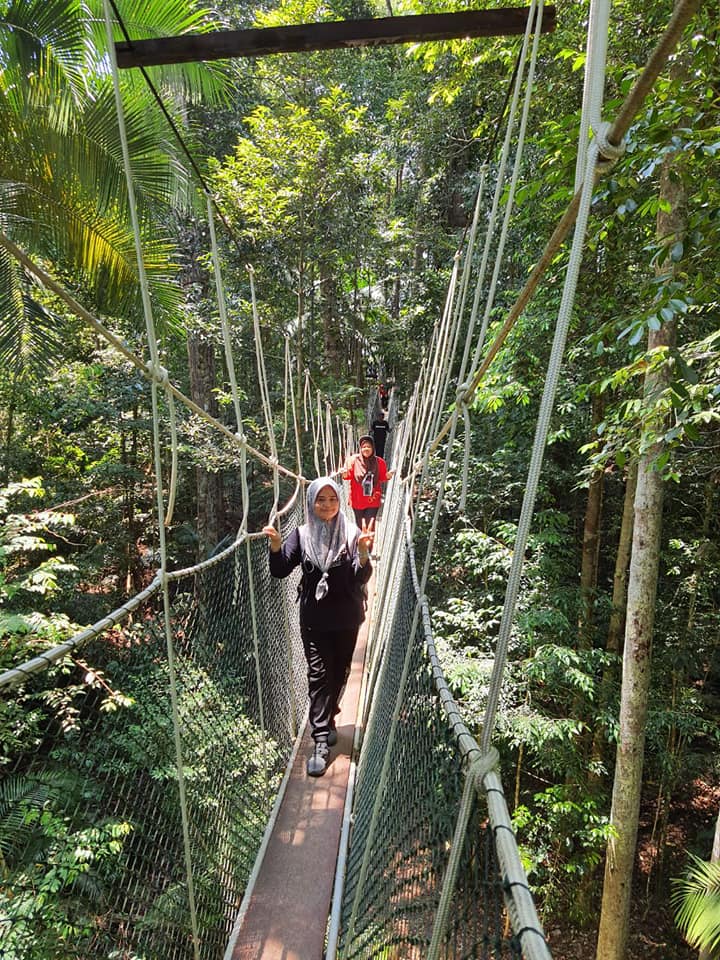 taman-negara-pahang