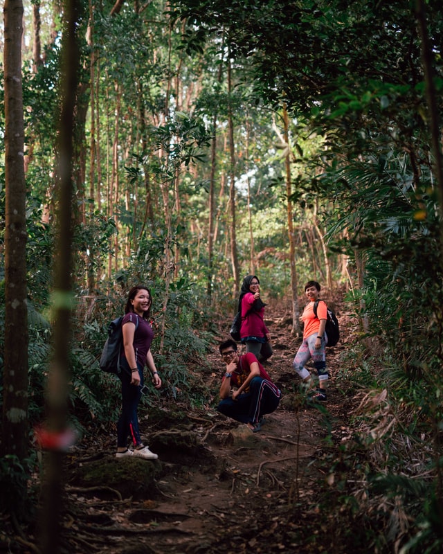 jungle-trekking-adventure-activities-in-malaysia